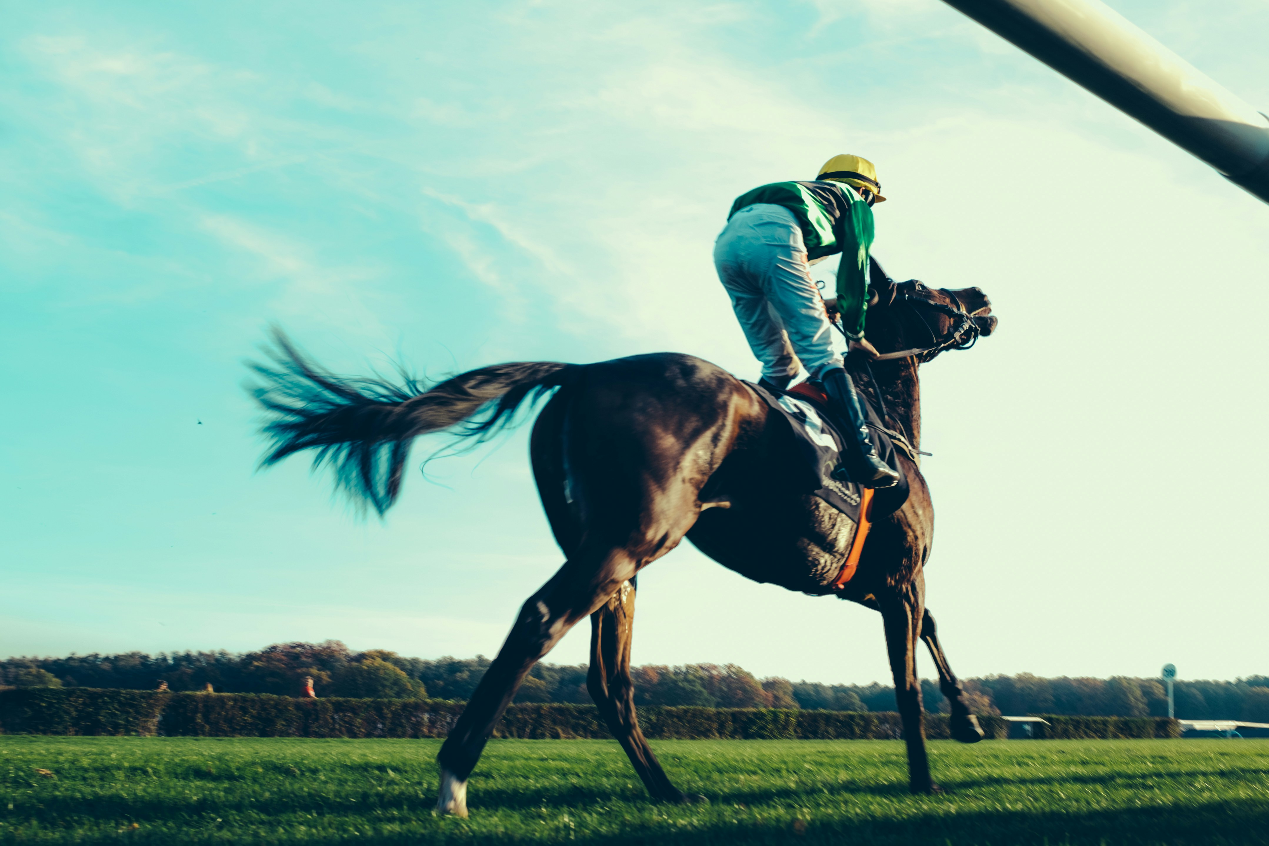 Horse racing crowd in the grandstands