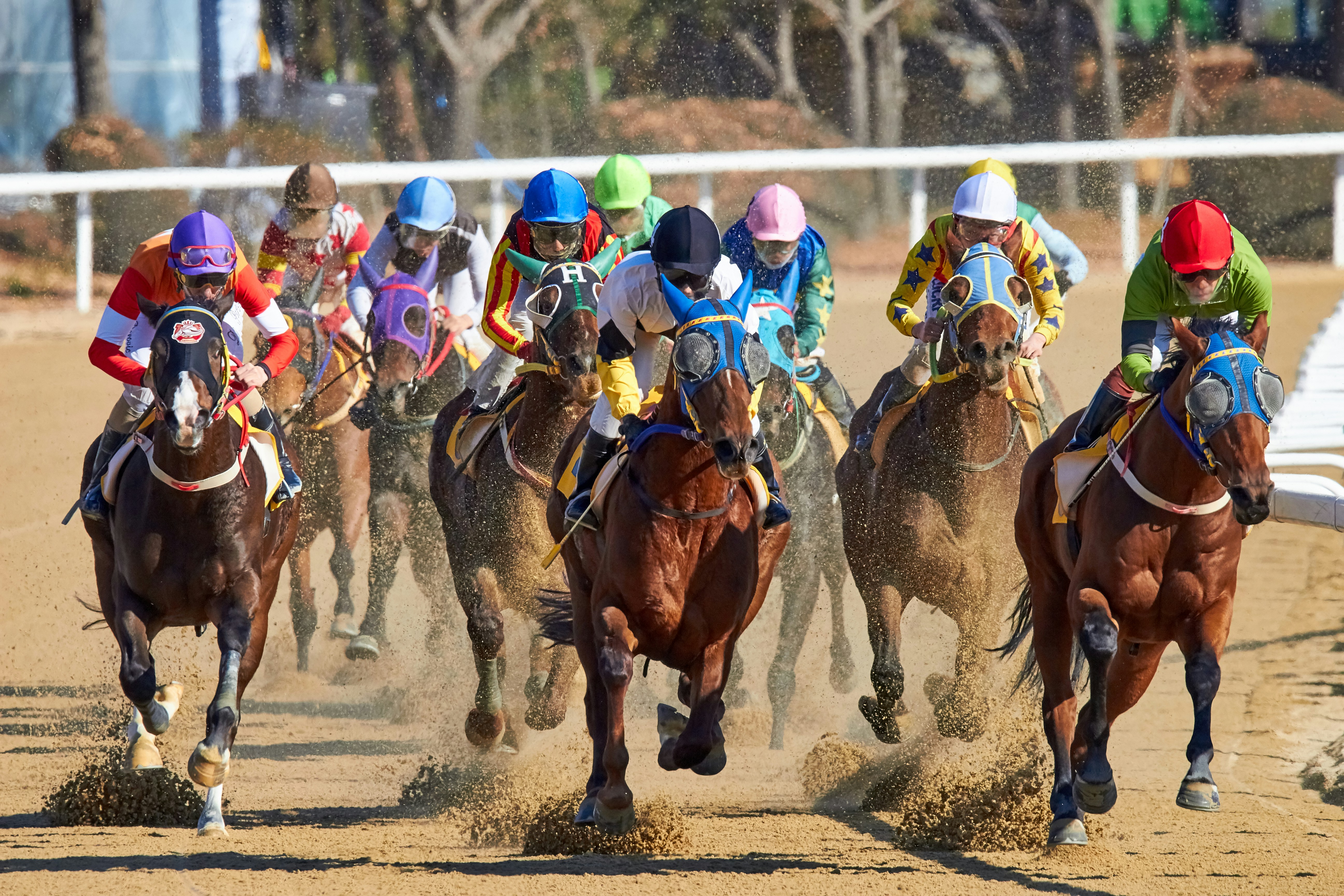 Jockeys racing — Hong Kong horseracing